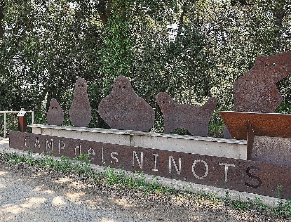 Descobriment paleontològic al Camp dels Ninots