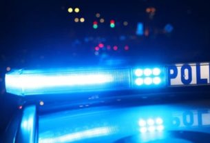 Intervenen un rifle i cinc caps d’animals salvatges en un vehicle a la C‑16