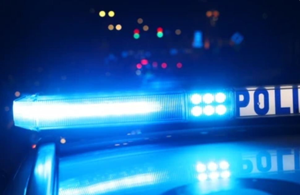 Intervenen un rifle i cinc caps d’animals salvatges en un vehicle a la C‑16