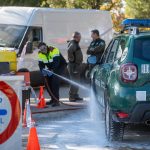 Pesta porcina africana a Barcelona: què se sap fins ara