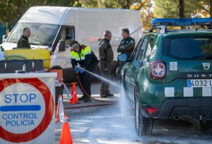 Peste porcina africana a Barcelona: què se sap fins ara