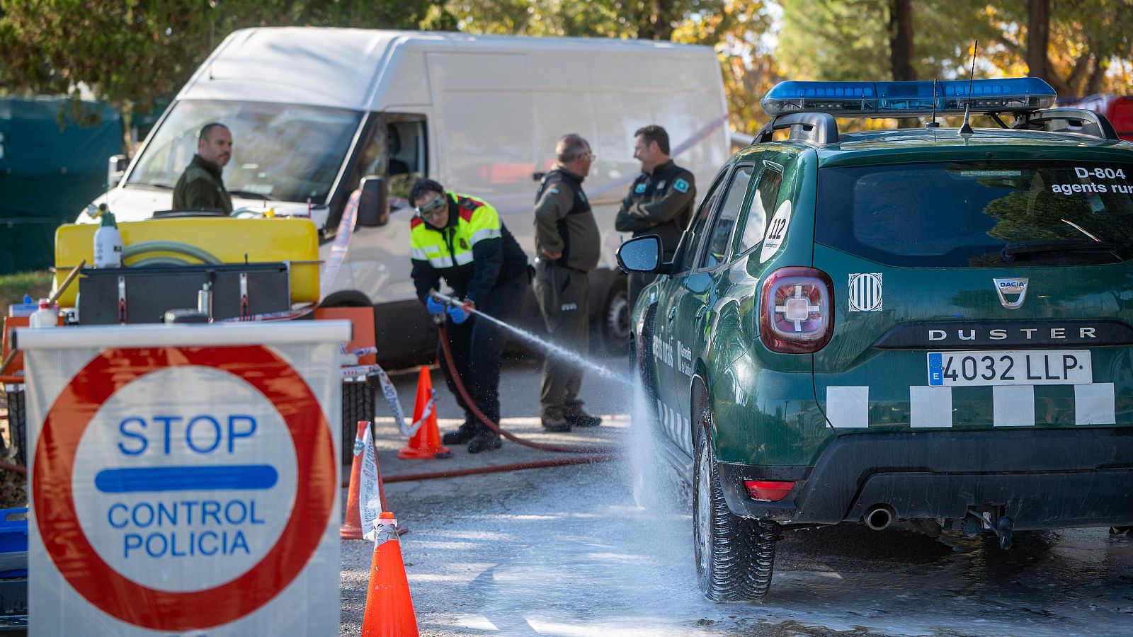 Peste porcina africana a Barcelona: què se sap fins ara