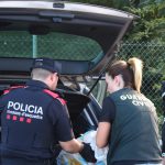 Macrodispositiu policial a la Jonquera