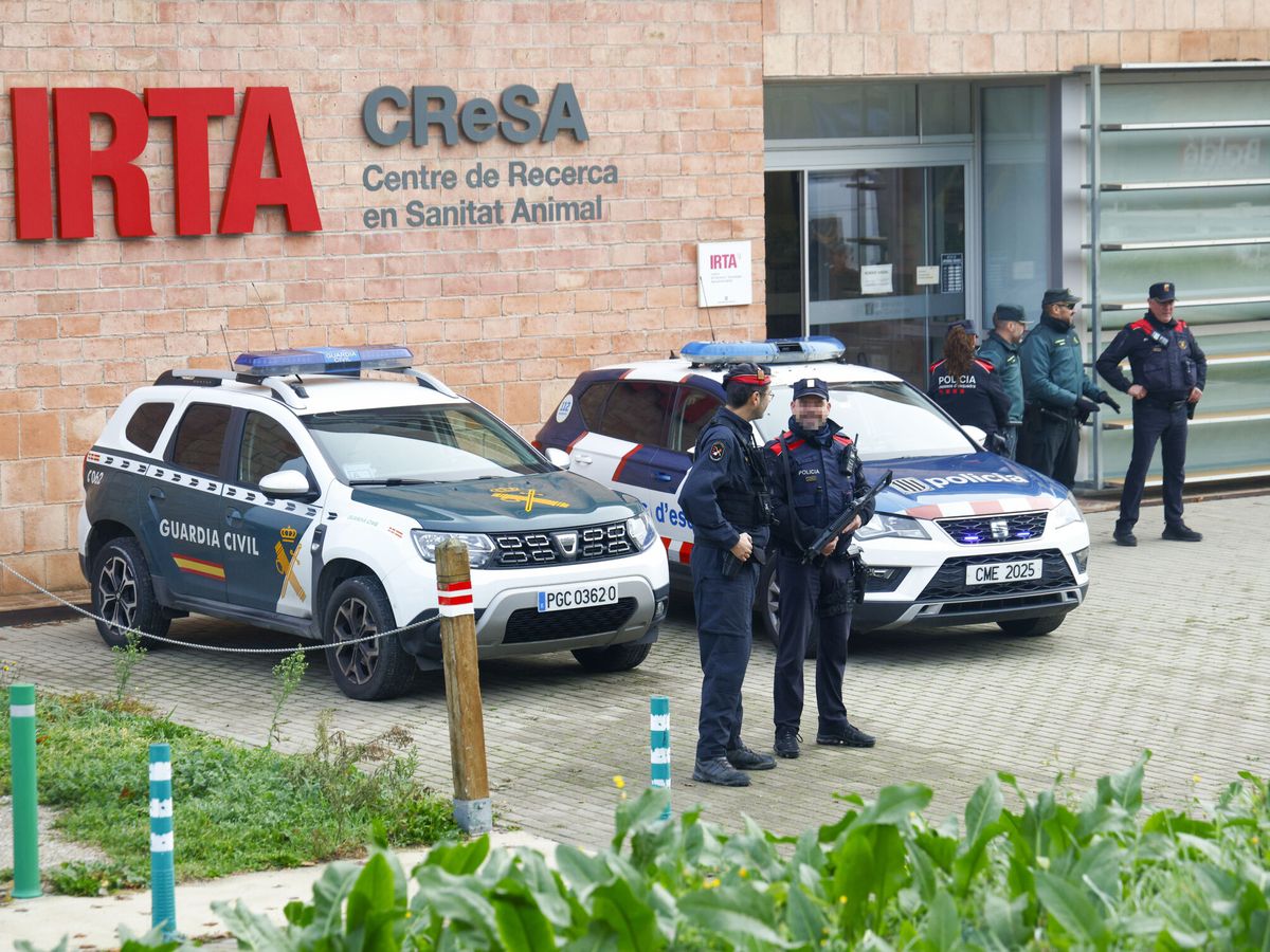 Mossos d’Esquadra i Guàrdia Civil escorcollen l’IRTA CReSA en la investigació sobre l’origen del brot de pesta porcina africana